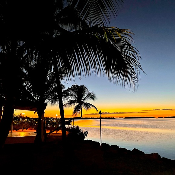 Meet your Posher, Francesca! ❤️ - Picture 1 of 1